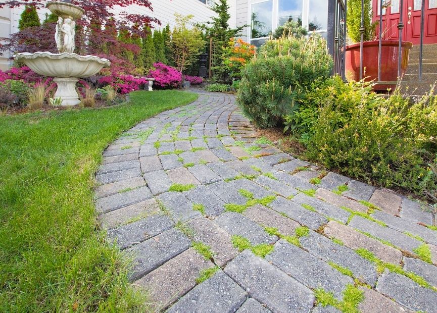 Backyard Paver Walkways & Paths